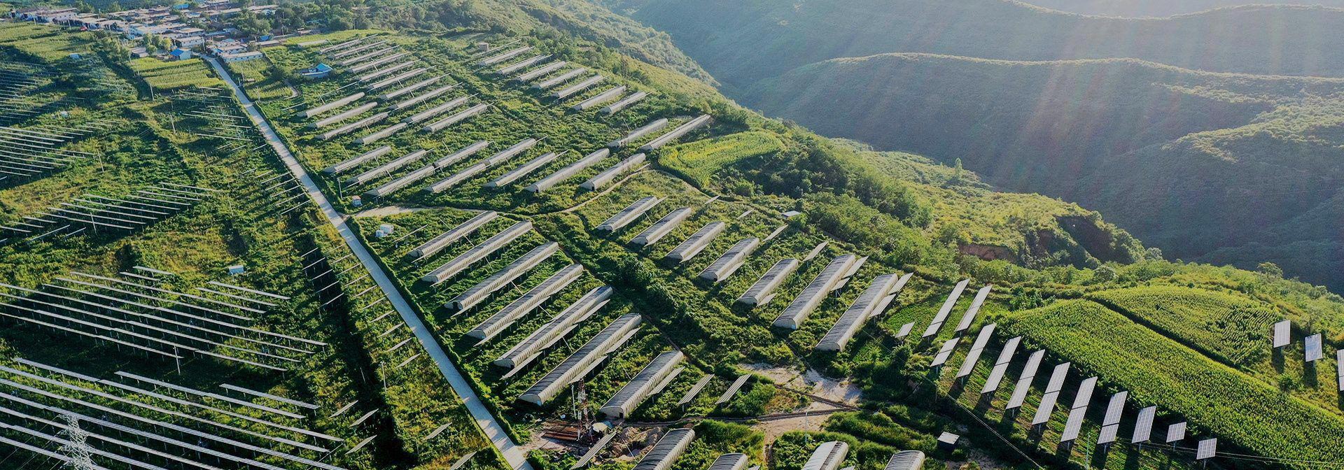 联系环亚网页版